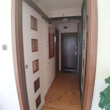 Sunroom שצ'צ'ין