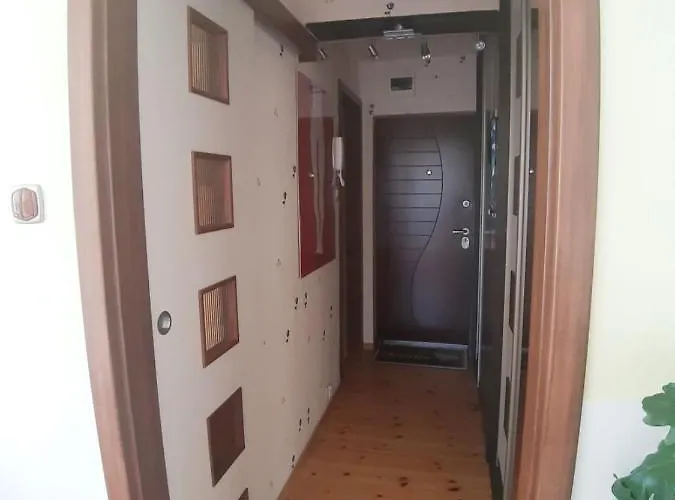 Sunroom シュチェチン